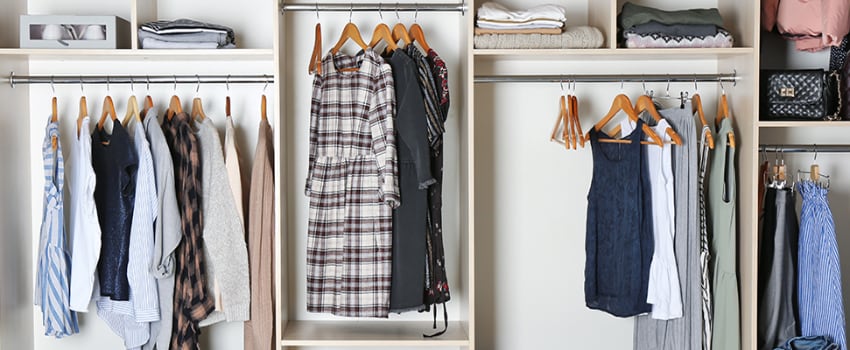 Closet organizer in Bloomington apartment